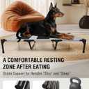 Elevated Dog Cot Bed with Durable Steel Frame&Breathable Mesh Cooling Surface, Easy to Clean, Raised Dog Cot Bed for Indoor&Outdoor Use,49x32x8 InchesGrey Dog Bed,Size L.
