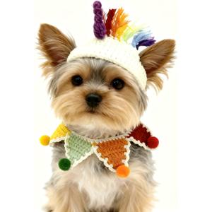 Christmas Cat Costume,Unicorn Handmade Knitted Dog Costume,Rainbow Dog Outfit,Cat Birthday Clothes,Pet Cloth for Rabbits and Other Small Sized Pets