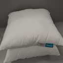 Oubonun 18 x 18 Throw Pillow Inserts - Soft, Plush & Decorative Down Alternative Pillows for Couch Sofa Bed, Machine Washable - White, Pack of 2