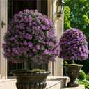 BLOSMON Purple Artificial Outdoor Plants, Faux Cedar Topiary Tree, Set of 2