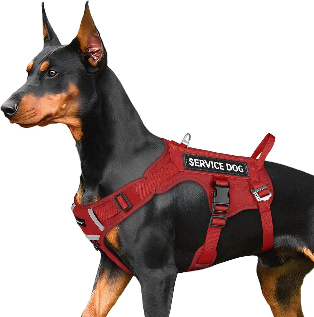 FAYOGOO Tactical Dog Harness for Large Dogs - Dog Harness Escape Proof with Handle - No Pull Military Service Dog Vest with Removable Patches for Walking,Training (Red, M(Chest:22-27"))