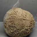 Muddy Mat Cloud K-9 Bed for Dogs & Cats, Soft & Relaxing Donut Dog Bed, Chenille Material, Removable Cover, Washable & Dryer SafeBeige Small(25'x25')