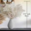40PCS White Pampas Grass for Home Decor - Elegant Boho Decor - Premium Quality Pampas Grass Stems - Perfect for House, Nursery, Western, Wedding, Table, and Bohemian Decor