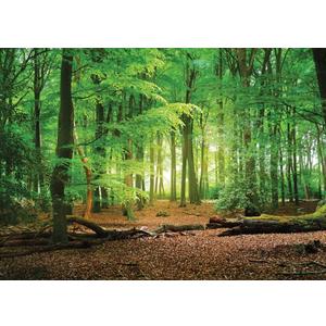 SJOLOON 10X8ft Spring Green Forest Thin Vinyl Photo Backdrops Camping Themed Baby Shower Photography Background Studio Props 10516