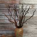 14-15 Pcs Dried Curly Willow Branches, 21-23 Inch Natural Dried Plants Decorative Branches Sticks for DIY Crafts, Vases Wedding Home Dcor, Brown