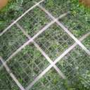 20"x20" (16P), Artificial Greenery Grass Wall Backdrop, UV-Anti