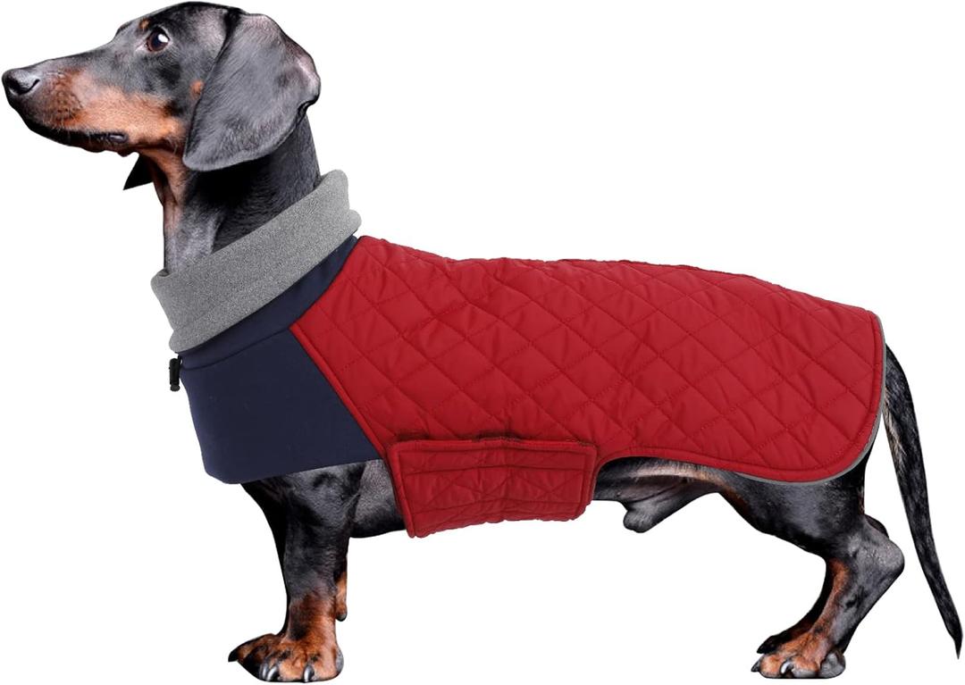 Geyecete Dachshund Coat, Dachshund Winter Coat, Warm Waterproof Windproof, High Neckline String Holes Miniature Dachshund Jacket for Small Dog-Red-M