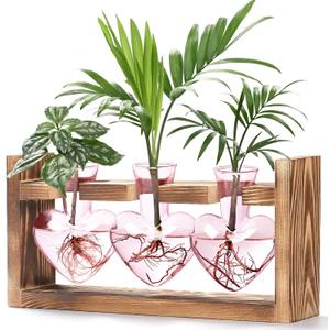 Lifecapido Heart Shaped Propagation Stations, Plant Terrarium with Wooden Stand, Plant Propagation Station for Hydroponics Plants Office Garden Home Decor, Gifts for Women Plant Lover (3 Vases, Pink) Lifecapido Heart Shaped Propagation Stations, Plant Terrarium with Wooden Stand, Plant Propagation Station for Hydroponics Plants Office Garden Home Decor, Gifts for Women Plant Lover (3 Vases, Pink)