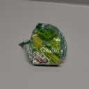 Joie Garlic Keeper, Standard, Terracotta