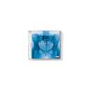 Virgin[Clear CD]