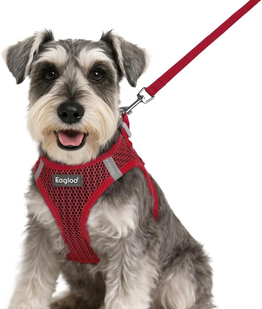Eagloo Small Dog Harness and Leash Set, Step in Puppy Vest with Breathable Soft Mesh, Walking Reflective Pet Harness for Small Dogs, Red, S (S(Chest:15.1"-16.5"))
