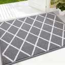 Finchitty Indoor Door Mat, Dirt Resistant and Absorbent, Low-Profile, Non-Slip, Washable Inside Floor Mats for Front Door, Back, and Entrance, 32" x 20", Grey
