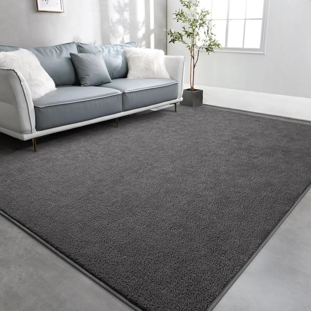 TWINNIS Large Area Rugs for Living Room Bedroom, 4x6 Feet, Super Soft Indoor Thickened Memory-Foam Carpets Easy-Cleaning, Modern Aesthetic Minimalist Comfy Rug for Kids Room Home Decor, Dark Grey