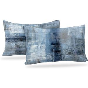 Blue and Grey Abstract Art Artwork Pillow Cover, Gallery Modern Decorative Throw Pillows Cushion Cover for Bedroom Sofa Living Room 12 x 20 Inch Set of 2