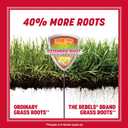 Pennington The Rebels Tall Fescue Grass Seed Mix 7 lb