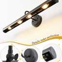 Hardwired Picture Lights for Wall,28 Inch Black Vintage Picture Sconce,E12 Base,330 Rotatable,4-Light Gallery Art Lighting for Paintings,Artwork,Portrait,Vanity & Mirror Accent (Bulb Not Included)