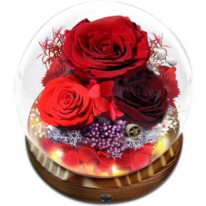 Preserved Flower Red Rose in Glass, Eternal Roses Gifts for Women, Mom, Girlfriend, Wife, Her on Christmas, Valentine's Day, Mother's Day, Birthday, Anniversary