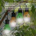 LED Camping Tent Lantern, Portable Outdoor Waterproof Emergency Light Bulb, Battery Powered with Clip Hook, Super Bright, for Hiking, PartyCamping, Fishing, Power Failure (4 Packs, Black )