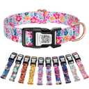 WhoseID Dog Collar for Small Medium Large Dogs