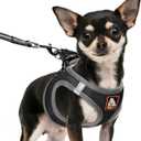 Dog Harness Medium Sized Dogs, Puppy Harness and Leash Set for Training, Running, Walking, Suitable for Medium Dog Vest, Black, M
