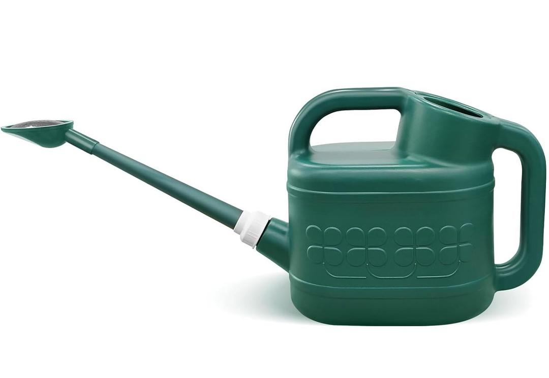 2 Gallon Watering Can, Garden Watering Can Outdoor, Plant Water Can with Removable Long Spout and Stainless Steel Sprinkler Head, Large Plastic Outdoor Watering Cans for Gardening Flower Plants (Alpine Green)