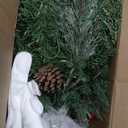 2 Pack 24 Inch Lighted Outdoor Christmas Tree with Lights, Battery Operated Pre-lit Pathway Urn Filler, Christmas Porch Decorations for Home, Porch & Yard