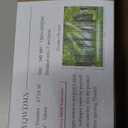 -Sunshine Forest Living Room Wallpaper XT24 M 140" x 91"