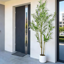 Artificial Fake Olive Tree 6FT Tall 1Pack with White Planter Faux Silk Olive Tree for Home Living Room Office Decor Faux Artificial Plants Indoor with Fruit & Free Moss