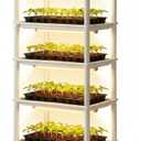 5-Tier Seed Starter Trays Plant Stand with LED Grow Light (Auto-Timer), Bottom Watering Designed for Indoor Greenhouse Plants, Fits Small Pots & Seedling Cell Trays - White