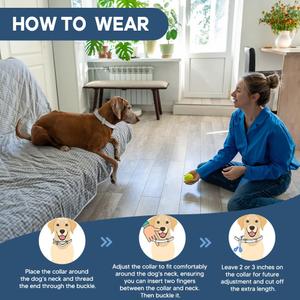 PDKIVFI Dog Collar, Collar for Dogs, 8 Months, Adjustable and Naturally-2P