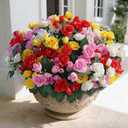 8 Bundles Artificial Roses for Front Door Outdoor Decor, Realistic Fake Silk Bouquets Flowers Faux UV Resistant Real Looking Rose Plants for Garden Farmhouse Home Spring Summer Decor (Mixed Color)