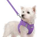 Rabbitgoo Dog Harness Small Sized and Leash Set, Step in Soft Light Puppy Vest, Breathable Mesh Pet Harness, Reflective for Safe Outdoor Walking, Purple S