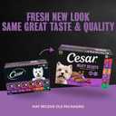 Cesar Wet Dog Food Classic Loaf in Sauce Grilled Chicken, Filet Mignon, Porterhouse Steak, Beef, Chicken & Liver and Turkey Variety Pack 3.5 oz. Easy Peel Trays (36 Count, Pack of 1)