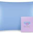 OLESILK 100% Mulberry Silk Toddler Pillowcase for Hair and Skin, Both Sides 19 Momme Pure Natural Silk Travel Pillow Cases with Hidden Zipper, 13"x 18", Light Blue