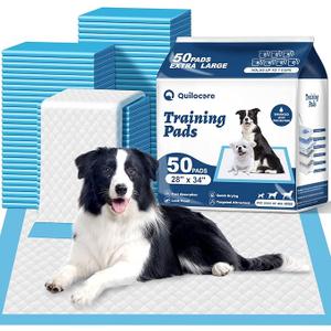 Basics XLarge Heavy Duty Absorbent Puppy Potty Pads, LeakProof, QuickDry, Super Absorbent Gel Technology for Dog Training, 28 x 34 Inches, Blue & White, Pack of 50