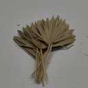 10 Pcs Dried Palm Leaves Small Boho Palm Leaves Decor Natural Dried Palm Fans Boho Flowers Arrangements for Wedding Table Home Bouquets Leaf Boho Party Decorations