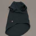 SUNFURA Turtleneck Sweater for Cat, Sphynx Hairless Cats Shirt Sweaters with Sleeves, Warm and Soft Kitten Pullover Fleece Winter Pajamas Jumpsuit for Puppy, Green L