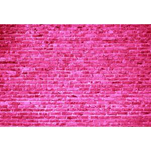 AOFOTO 8x6ft Pink Brick Wall Backdrop Hot Pink Stone Brick Background for Girl Princess Kids Baby Shower Birthday Party Table Decoration Banner Wedding Artistic Portrait Wallpaper Photo Shoot Props