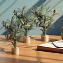 Soulchen 6 Pcs Artificial Olive Branches 12'' Mini Tabletop Tree Bough Decor Spring Olive Branch Faux Stem Desk with Base for Spring Decorations Indoor Home Dining Table