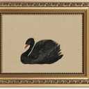 VIYYIEA Gold Framed Wall Art, Black Swan Canvas Print Home Decor Vintage Art Painting Picture Bathroom Wall Decor, Animals Artwork for Living Room Bedroom Kitchen Office - 10L x 8W