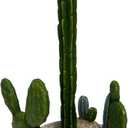 De Leon Collections 14155 Flowering Cactus Green and Pink 13.5 Inch Polyresin Nature Southwest Home Dcor Decorative for Kitchen or Dining Room Paper Towel Holder