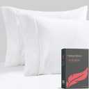 Ashton Sheets Luxury Egyptian Cotton Standard/Queen Pillow Cases Set of 2-1000 Thread Count White Standard/Queen Pillowcases, Soft, Sateen Weave Cooling Pillowcase for Standard/Queen Pillows