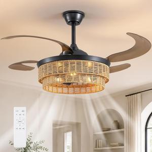 48 Inch Boho Ceiling Fan with Retractable Invisible Blades
