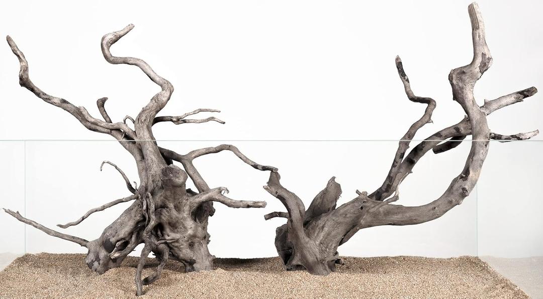 LANDEN Natural Spider Wood Aquarium Decorative Fish Tank Decorations, Driftwood Branches (12-16 Inch, XL) 4 Pcs
