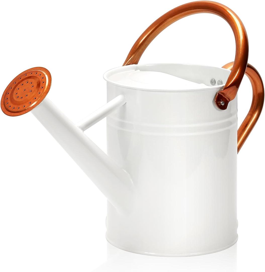 Metal Watering Can with Removable Spout, Galvanized Watering Can, Perfect for Indoor Use and for Outdoor Use (1 Gallon, White)