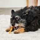 Beefhide Twist Sticks 5" Dog Chew Treats - Chicken Flavor, 1 lb/2 Pack