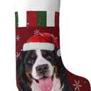 Christmas Bernese Mountain Dog Christmas Stockings Personalized Hanging Stocking Decorations for Family Xmas Holiday Party (One Size)