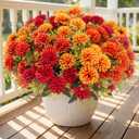 24 Pcs Artificial Mums Flowers for Outdoor, UV Resistant Fake fall Chrysanthemums Marigold Plant, Autumn Floral Arrangements for Outside, Garden, Yard(24, Orange, Burnt Orange, Red, Burgundy)