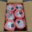 6 Pack Glass Spice Jars, 7 oz Salt and Pepper Shakers with Adjustable Pour Holes - for Seasonings, Herbs, Powders, Glitters