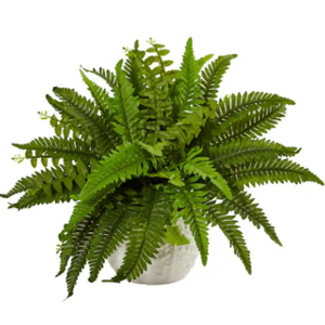 Indoor Boston Artificial Fern